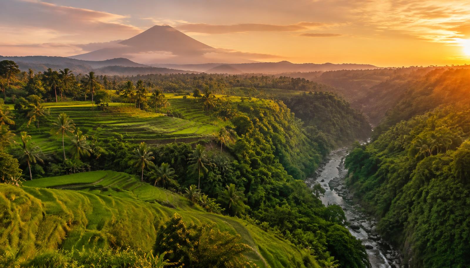 Bali rice terraces and tropical valley landscape